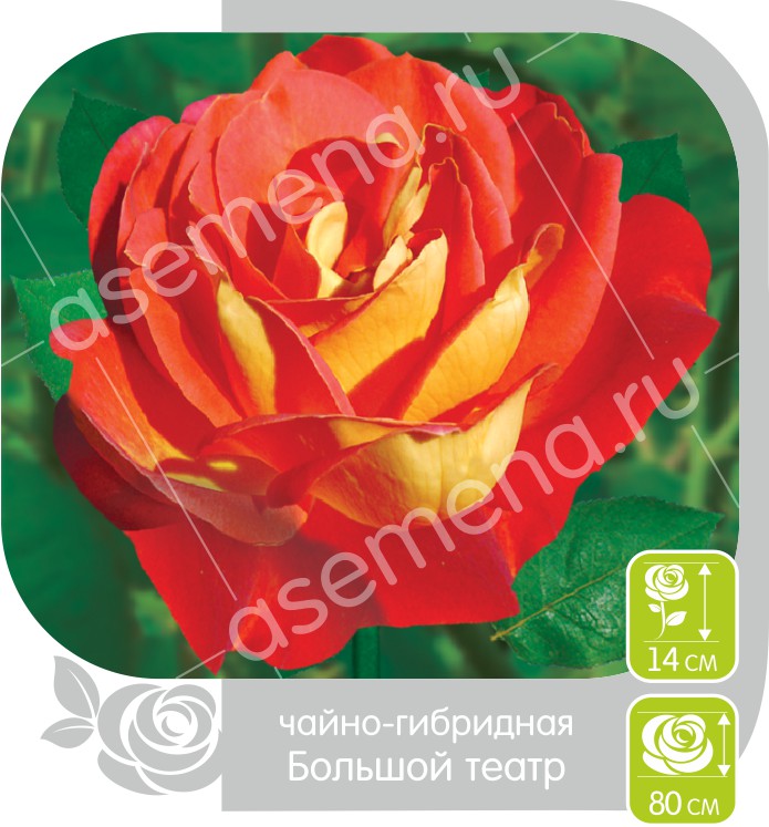 Большой Театр/Сем Алт/1шт. в коробке