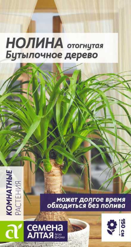 Нолина Бутылочное дерево/Сем Алт/цп 3 шт.