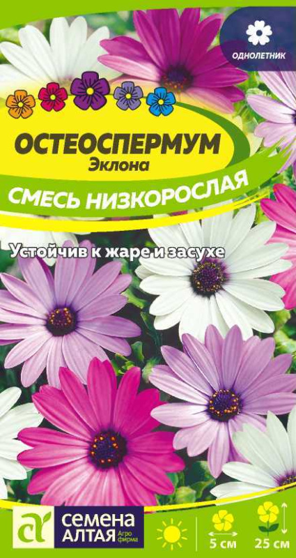 Остеоспермум Смесь низкорослая/Сем Алт/цп 0,1 гр.