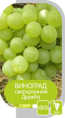 Дружба/Сем Алт/1шт. в коробке