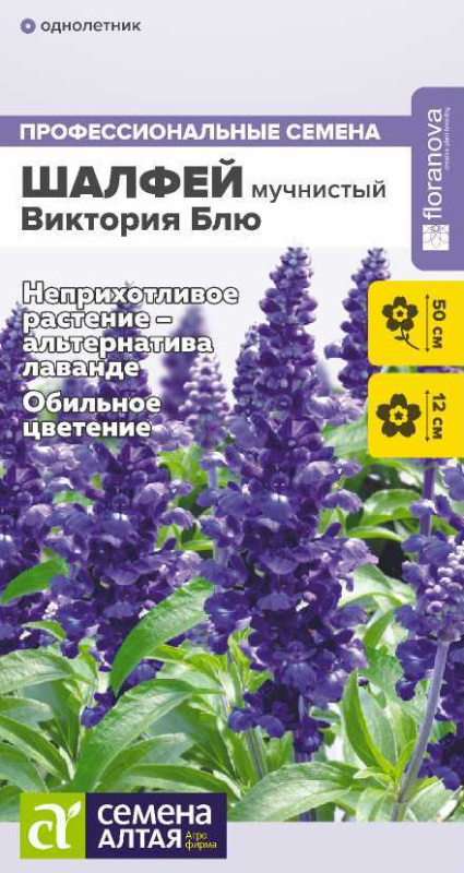 Шалфей Виктория Блю мучнистый/Сем Алт/цп 10 шт.