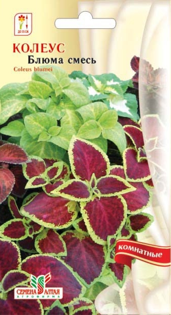 Колеус Блюме смесь/Сем Алт/цп 0,1 гр.