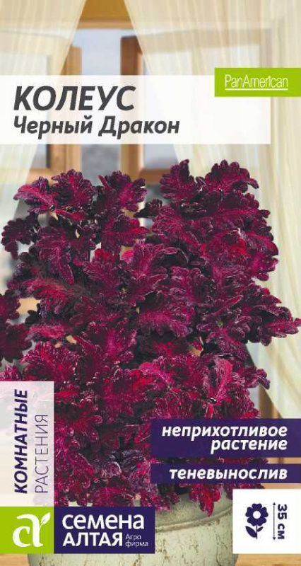 Колеус Черный Дракон/Сем Алт/цп 5 шт.