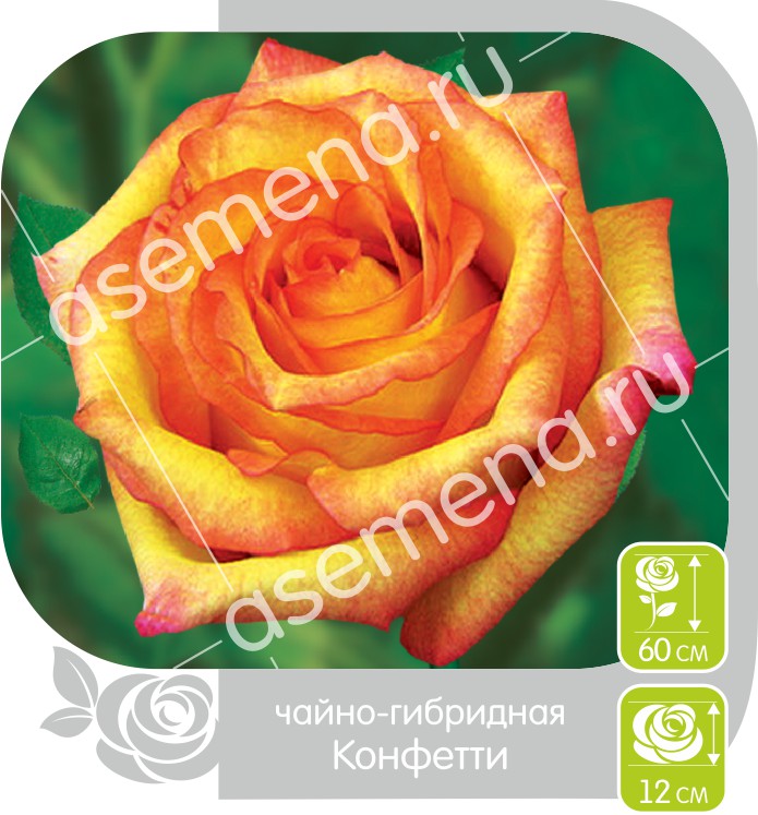 Конфетти/Сем Алт/1шт. в коробке