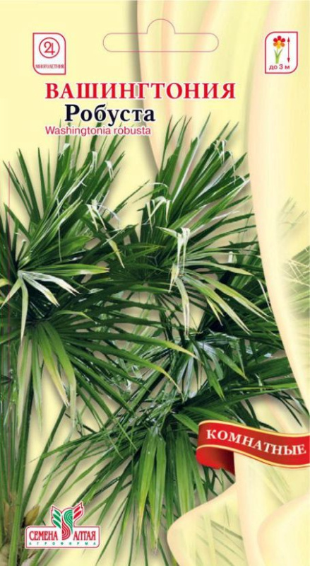 Вашингтония Робуста/Сем Алт/цп 3 шт.