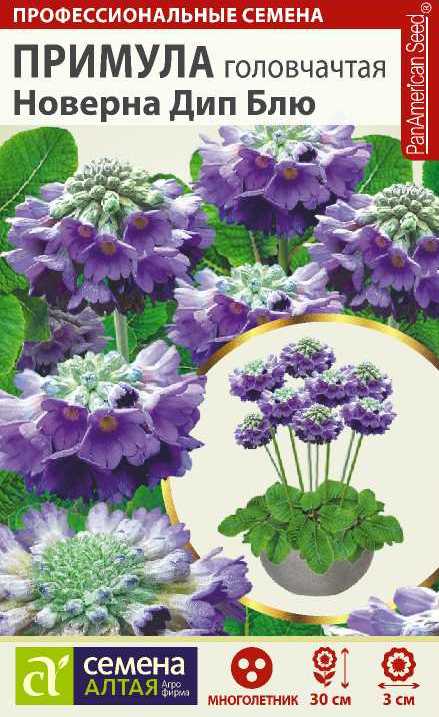 Примула Новерна Дип Блю головчатая/Сем Алт/цп 10шт.