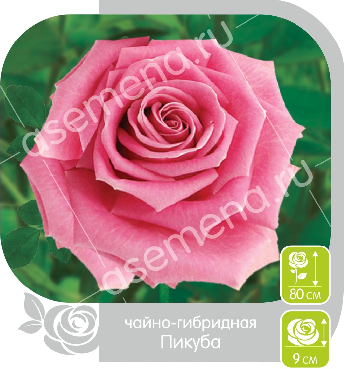 Пикуба/Сем Алт/1шт. в коробке