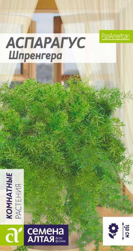 Аспарагус Шпренггера/Сем Алт/цп 5 шт
