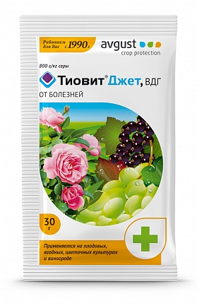 Тиовит Джет 30 гр. avgust
