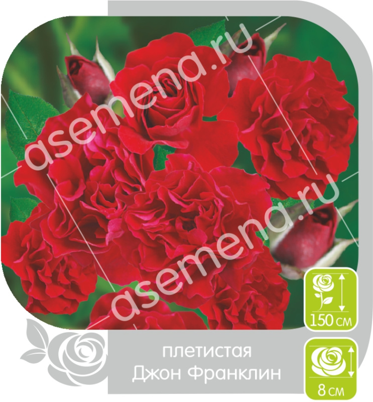 Джон Франклин/Сем Алт/1шт. в коробке