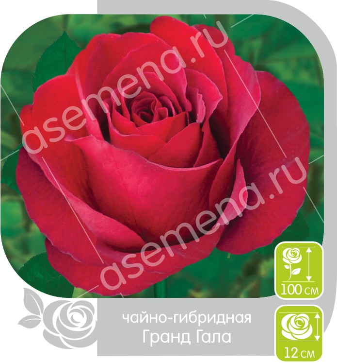 Гранд Гала/Сем Алт/1 шт. в коробке