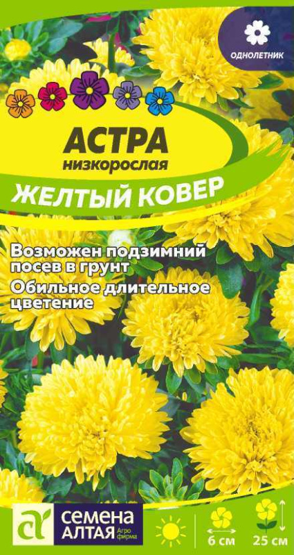 Астра Желтый Ковер низкорослая/Сем Алт/цп 0,2 гр.