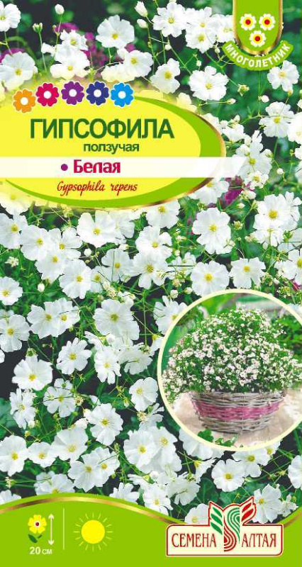 Гипсофила ползучая Белая/Сем Алт/цп 0,2 гр.
