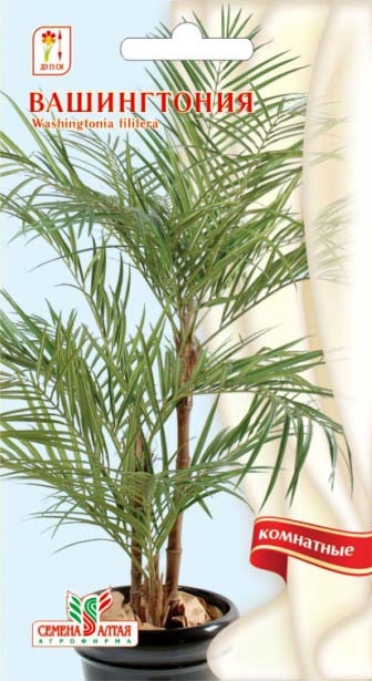 Вашингтония/Сем Алт/цп 3 шт.
