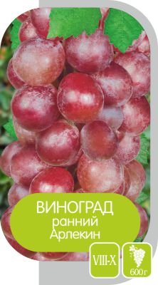 Арлекин/Сем Алт/1шт. в коробке