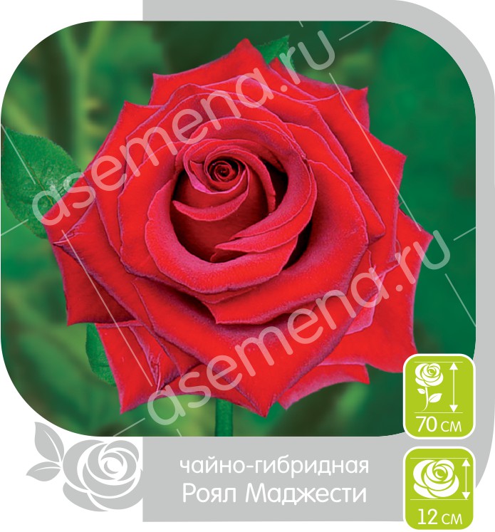 Роял Маджести/Сем Алт/1шт. в коробке