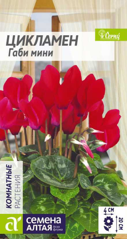 Цикламен Габи мини/Сем Алт/цп 3 шт.