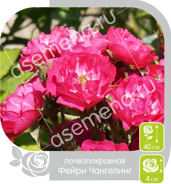 Фейри Чангелинг/Сем Алт/1шт. в коробке