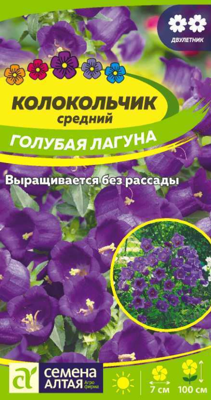 Колокольчик средний Голубая Лагуна/Сем Алт/цп 0,1 гр.