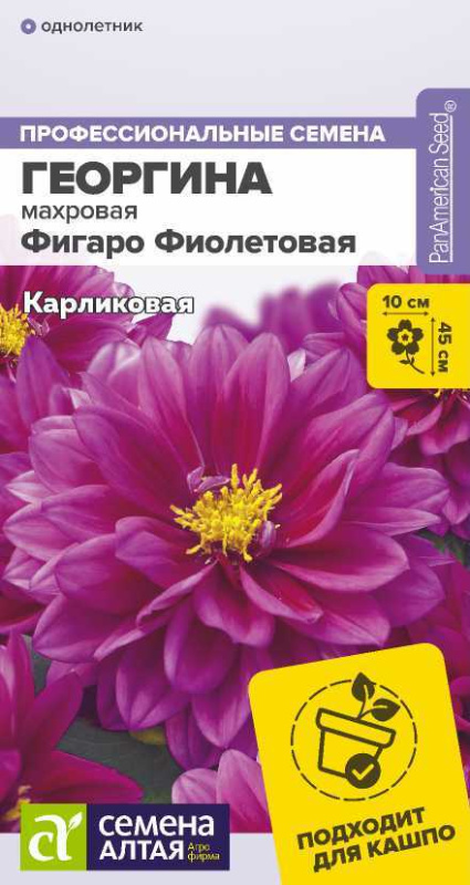 Георгина Фигаро Фиолетовая махровая/Сем Алт/цп 7 шт.
