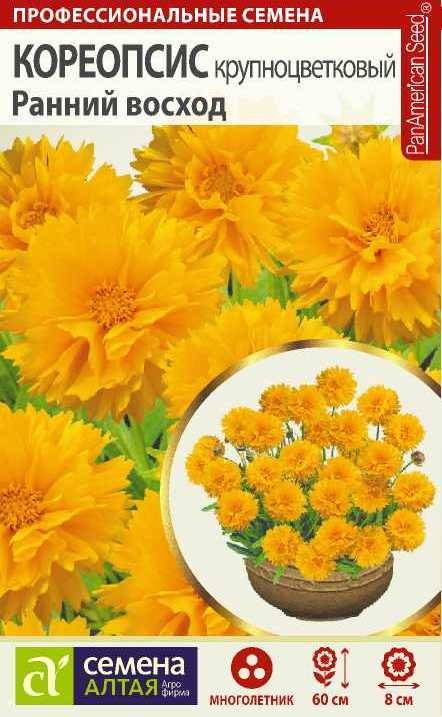 Кореопсис Ранний восход крупноцв./Сем Алт/цп 10 шт.