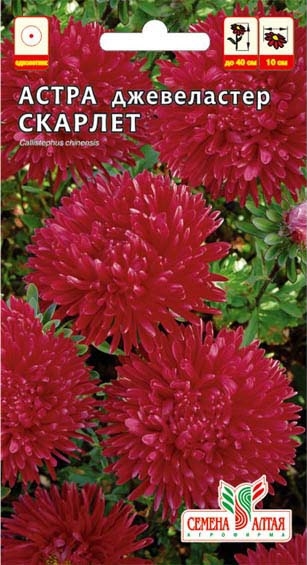 Астра Джевеластер Скарлет/Сем Алт/цп 0,2 гр.