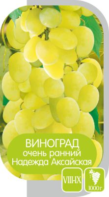 Надежда Аксайская/Сем Алт/1шт. в коробке