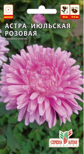 Астра Июльская Розовая/Сем Алт/цп 0,2 гр.