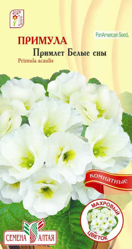 Примула Примлет Белые сны/Сем Алт/цп 5шт.