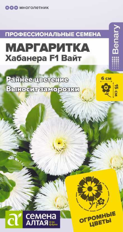 Маргаритка Хабанера F1 Вайт многолетняя/Сем Алт/цп 5 шт.