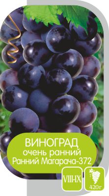 Ранний Магарача - 372/Сем Алт/1шт. в коробке