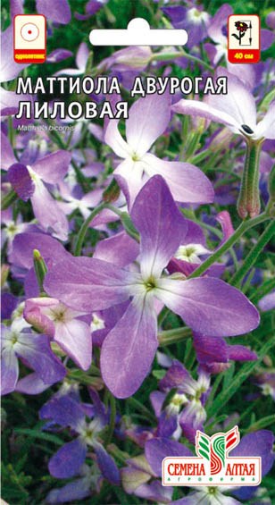 Маттиола двурогая Лиловая/Сем Алт/цп 0,3 гр.
