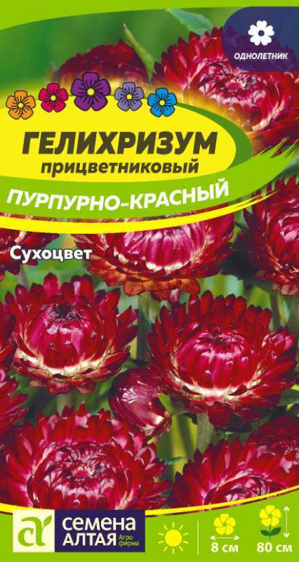Гелихризум Пурпурно-красный/Сем Алт/цп 0,2 гр.