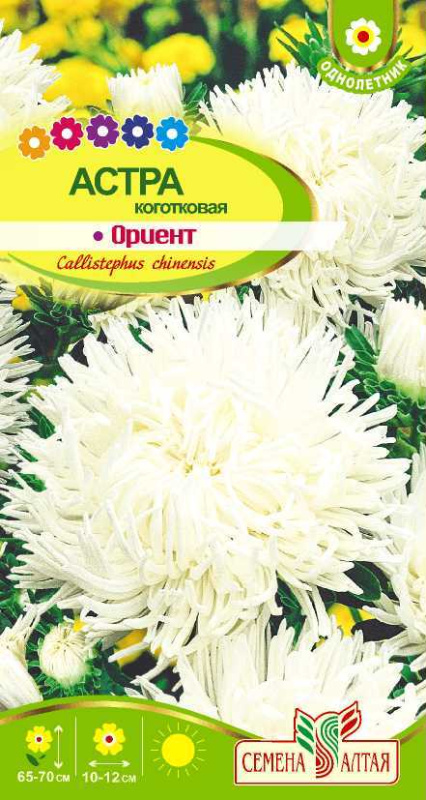 Астра Ориент коготковая/Сем Алт/цп 0,3 гр.