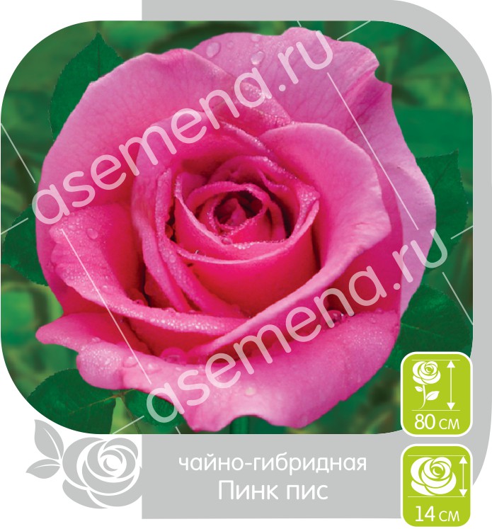 Пинк Пис/Сем Алт/1шт. в коробке