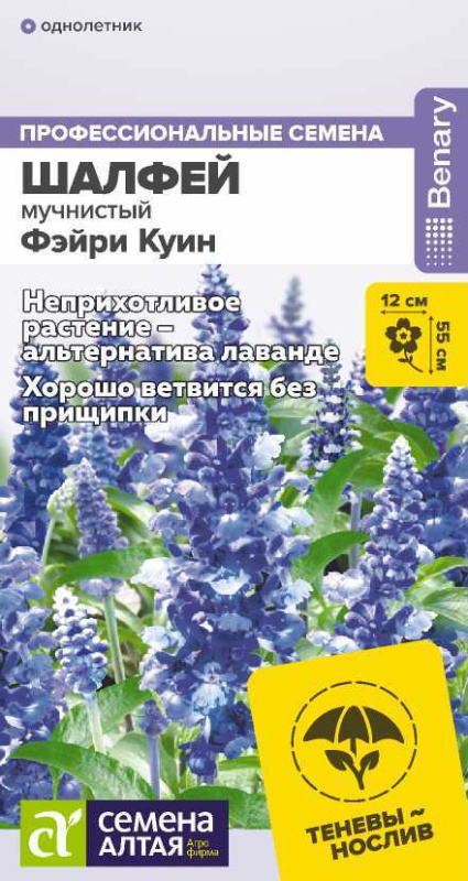 Шалфей Фэйри Куин мучнистый/Сем Алт/цп 5 шт.