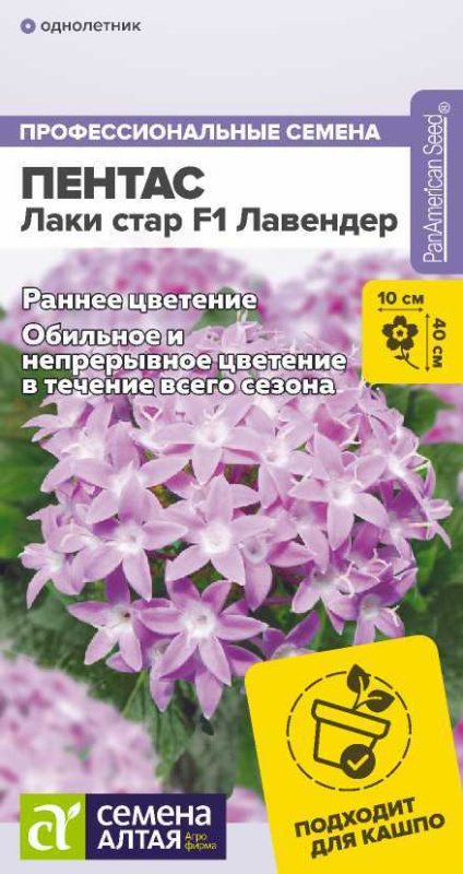 Пентас Лаки стар F1 Лавендер ланцетовидный/Сем Алт/цп 3 шт.