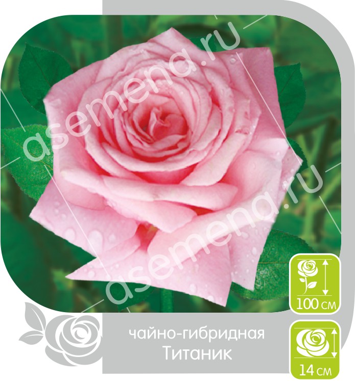 Титаник/Сем Алт/1шт. в коробке