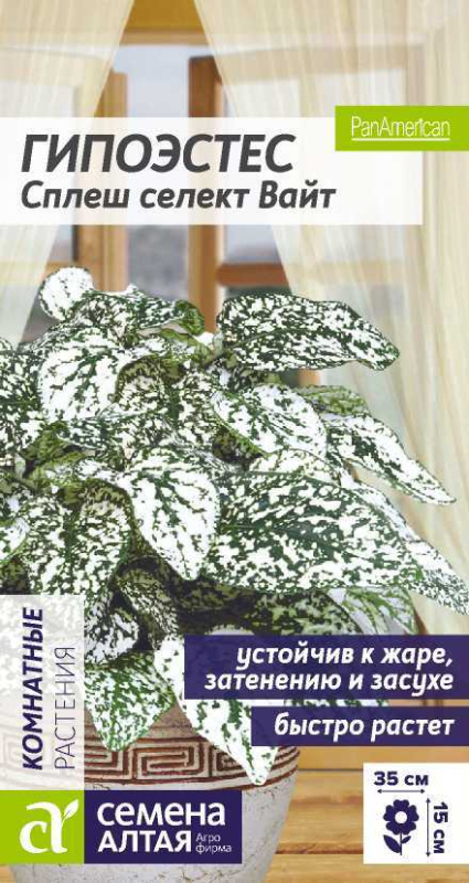Гипоэстес Сплеш селект Вайт/Сем Алт/цп 5 шт.