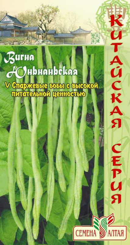 Фасоль Вигна Юньнаньская/Сем Алт/цп 6 шт. АЗИАТСКИЙ ОГОРОД