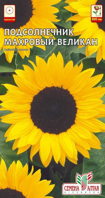 Подсолнечник Махровый великан/Сем Алт/цп 0,5 г