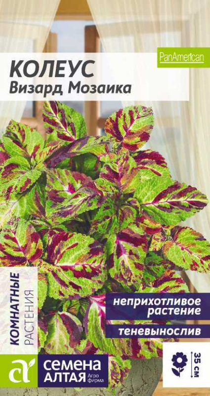 Колеус Визард Мозаика/Сем Алт/цп 5 шт.