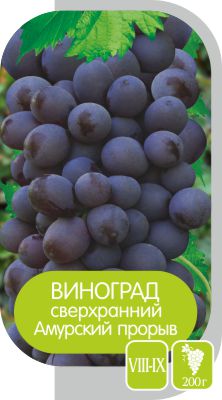 Амурский прорыв (Один)/Сем Алт/1шт. в коробке