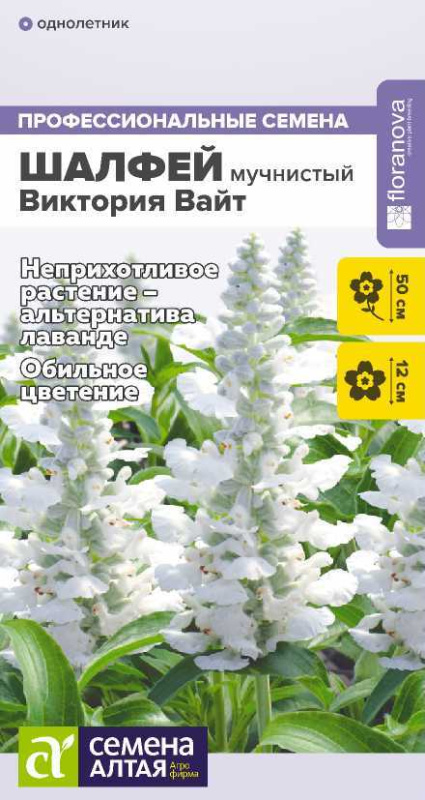 Шалфей Виктория Вайт мучнистый/Сем Алт/цп 10 шт.