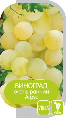 Агрус/Сем Алт/1шт. в коробке