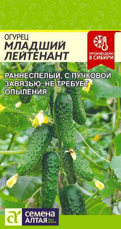 Огурец Младший Лейтенант F1/Сем Алт/цп 5 шт.