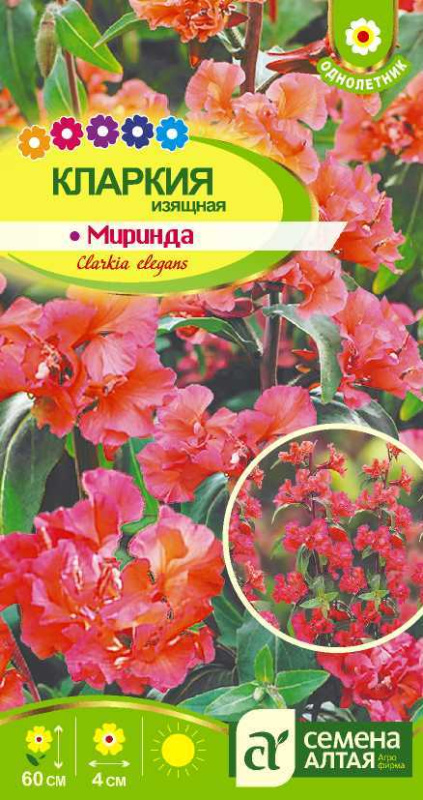 Кларкия Миринда изящная/Сем Алт/цп 0,3 гр.