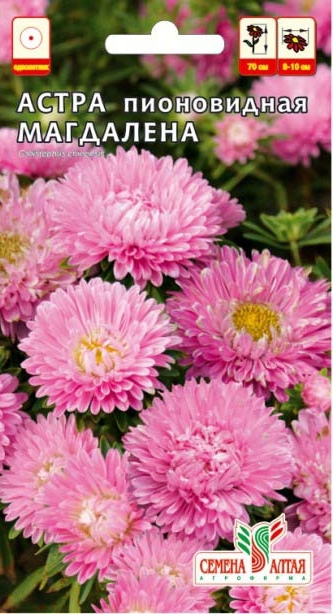 Астра Магдалена пионовидная/Сем Алт/цп 0,2 гр.