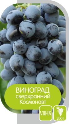 Космонавт/Сем Алт/1шт. в коробке