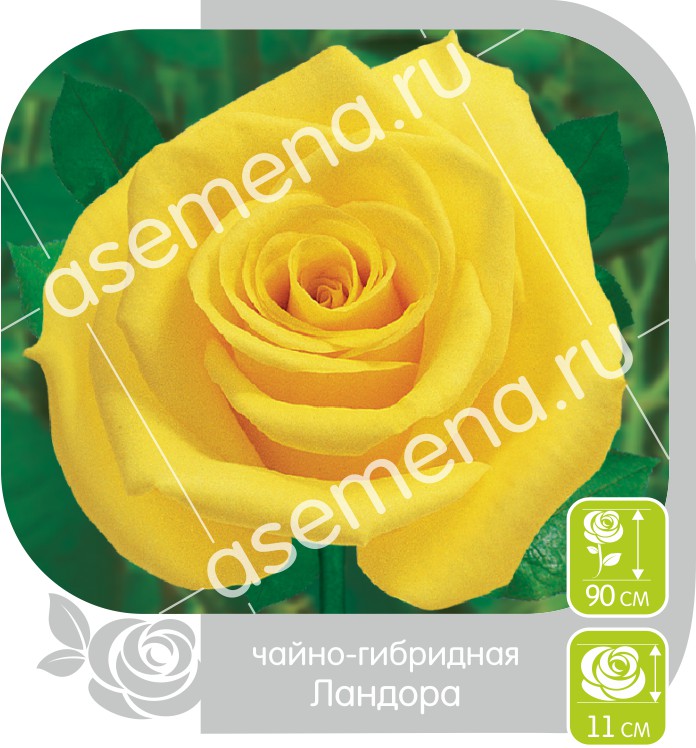 Ландора/Сем Алт/1шт. в коробке